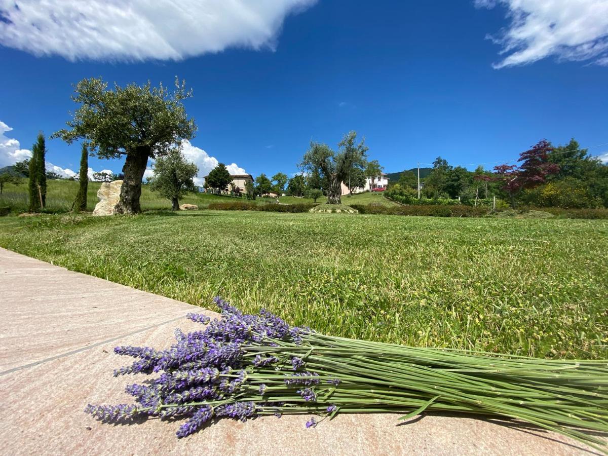 Bed and Breakfast L'Oca Giuliva Relais Gaggio Montano Екстер'єр фото